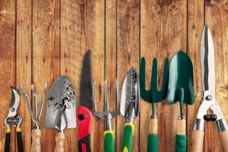 Is Landscaping a Smart Side Hustle for Your Homestead? Image